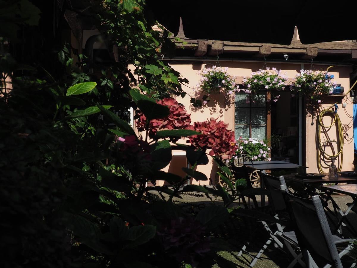 Chambres D'Hotes Chez Caroline Colmar Bagian luar foto